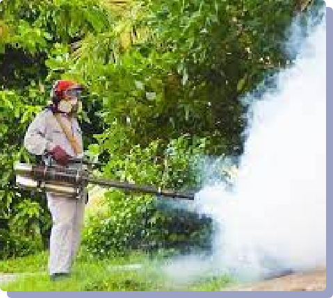 Pest Control-1