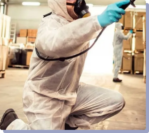Pest Control-2