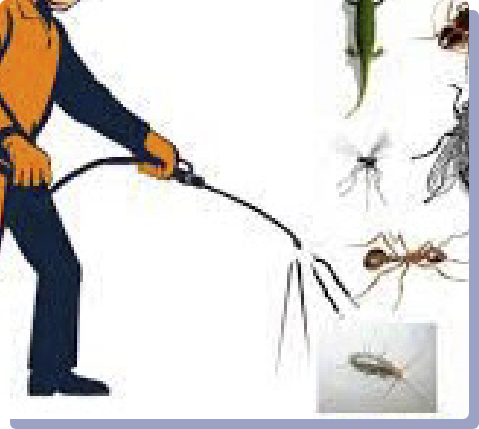 Pest Control-3